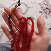 سندلوس 101 تای