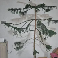 کاج مطبخ بزرگ فقط ۱میلیون تومان