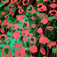 پارچه مخمل  کره‌ای اصل درجه یک