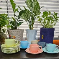 فنجون نعلبکی