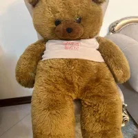خرس قهوه ای