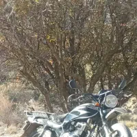 موتور سیوان 200سی سی بسیارسالم