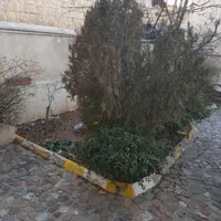 ویلاباغ۳۰۰متری درجابان|فروش خانه و ویلا|تهران, افسریه شمالی|دیوار