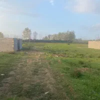 زمین ۱۶۹ متری فلکده