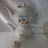 بارفتن طلایی|ظروف سرو و پذیرایی|کاشان, نوش آباد|دیوار