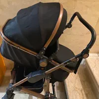 کالسکه|کالسکه و لوازم جانبی|کیش, |دیوار