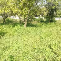 فروش-یک-قطعه-زمین