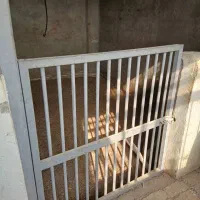 درب آهنی باکس اسب