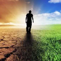 تولدی دوباره