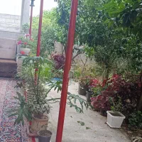 ویلا اجاره ای|اجارهٔ خانه و ویلا|دابودشت, |دیوار