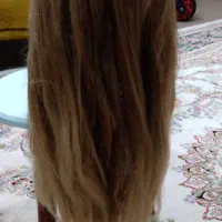 سرمانکن آموزشی