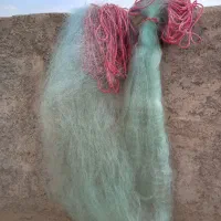 تورماهیگیری