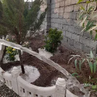 باغ و باغچه ۱۹۰ متری ، سند دار ، معاوضه با خودرو|فروش زمین و ملک کلنگی|تهران, امیریه|دیوار