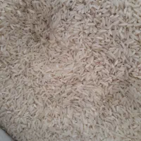 برنج فجر سوزنی دهنه محمد آباد کتول