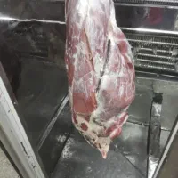 گوشت گوساله
