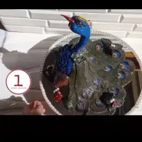 دیس حنا طاووس