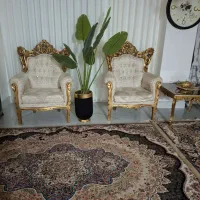 گلدون مخمل مشکی بدون درختچه