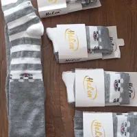 سفره|سفره، حوله، دستمال آشپزخانه|زنجان, |دیوار