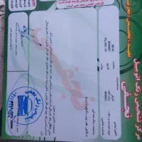 پراید ۱۳۱|خودرو سواری و وانت|گرگان, |دیوار