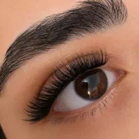 کاشت هیدن ۲۵۰