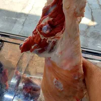 قصابی کرتلایی گوشت گوسفندی  بره ،کوه ،شیشک ،میش|خوردنی و آشامیدنی|شوشتر, |دیوار