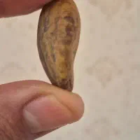 سنگ سلطانی|کلکسیون اشیاء عتیقه|سوسنگرد, |دیوار