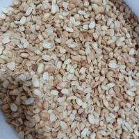 بادام زمینی مخصوص کره گیری|عمده‌فروشی|تهران, تختی|دیوار