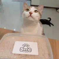 پت شاپ سزار کرج کیانمهر