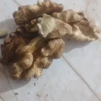 گردوی تازه اورگانیک با طعمی بسیار لذیذ|خوردنی و آشامیدنی|تهران, راه آهن|دیوار