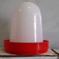 آب خوری برای کبوتر و جوجه