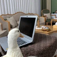 نگهداری اردک