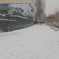 همخونه میخام سالم باشه
