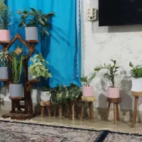 گل واستند گل