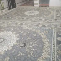 فرش دوازده متری|فرش|زابل, |دیوار