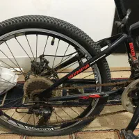 دوچرخه ۲۴ المپیا|دوچرخه، اسکیت، اسکوتر|بندرعباس, |دیوار