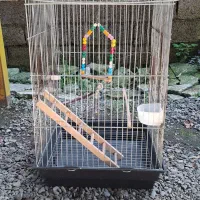 دو عدد قفس پرنده|لوازم جانبی حیوانات|رشت, پسیخان|دیوار