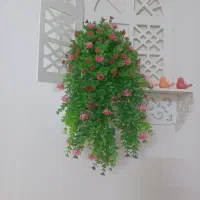 گل مصنوعی|گل مصنوعی|قم, آزادگان|دیوار