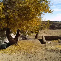 زمین روستای غار