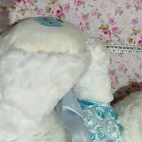 عروسک|اسباببازی|قم, پردیسان|دیوار