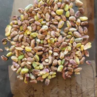 مغز پسته دندانه