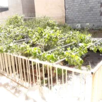 ویلایی دربستی دهکده المپیک،۱۵۰متر بنا،۲۰۰متر زمین