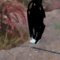 باغ فروشی
