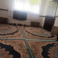 فرش فروشی|فرش|مریوان, |دیوار