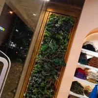 گیرین وال،دیوار سبز،گیاه مصنوعی،مغازه، طراحی داخلی