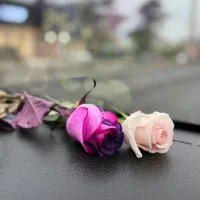 کنسرت ارمان گرشاسبی