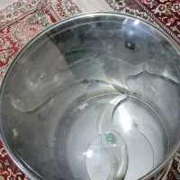 سبزی خورد کنی صنعتی ۲ کیلویی