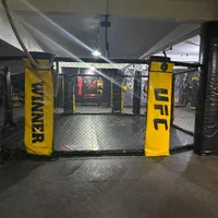 کیج mma رینگ