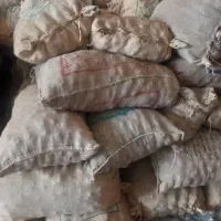 سیر‌