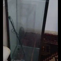 آکواریوم شرکتی|ماهی|بندر دیر, |دیوار