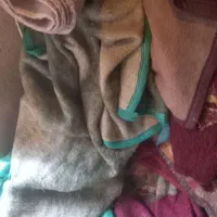 ۲۲عدد پتو سالم